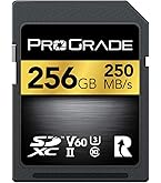 Amazon | ProGrade Digital CFexpress 2.0 Type B COBALT 325GB